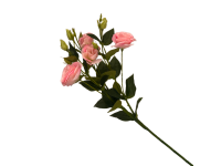 38HRN  SILK FLOWER lisianthus pink H77