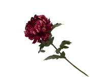 38HRN  SILK FLOWER chrysant purple H71