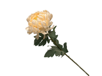 38HRN  SILK FLOWER chrysant cream H71