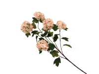 38HRN  SILK FLOWER snowball l. pink H84