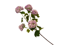 38HRN  SILK FLOWER snowball l. purple H8