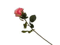 38HRN  SILK FLOWER single rose l.pink H6