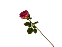 38HRN  SILK FLOWER single rose drpink H6