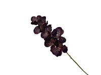 37ZLN SILK FLOWER Vanda brown E31