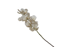 37ZLN SILK FLOWER Vanda white E17