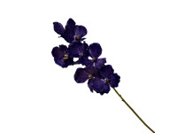33ZLE SILK FLOWER Vanda blue E32