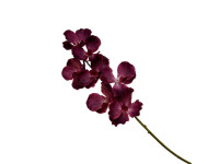 37ZLN SILK FLOWER Vanda d. pink E15