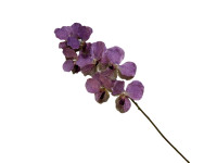 33ZLE SILK FLOWER Vanda l.purple E22