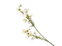 37ZLN SILK FLOWER cosmos white H120 H038