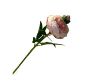 38HRN SILK FLOWER peony light pink H57