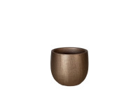 PSVE2 BROWN pot D16 H14